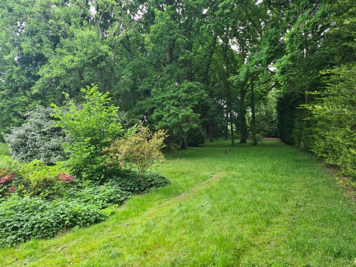 The Reading Whole Apartment With Private Lake And Gardens Exterior foto